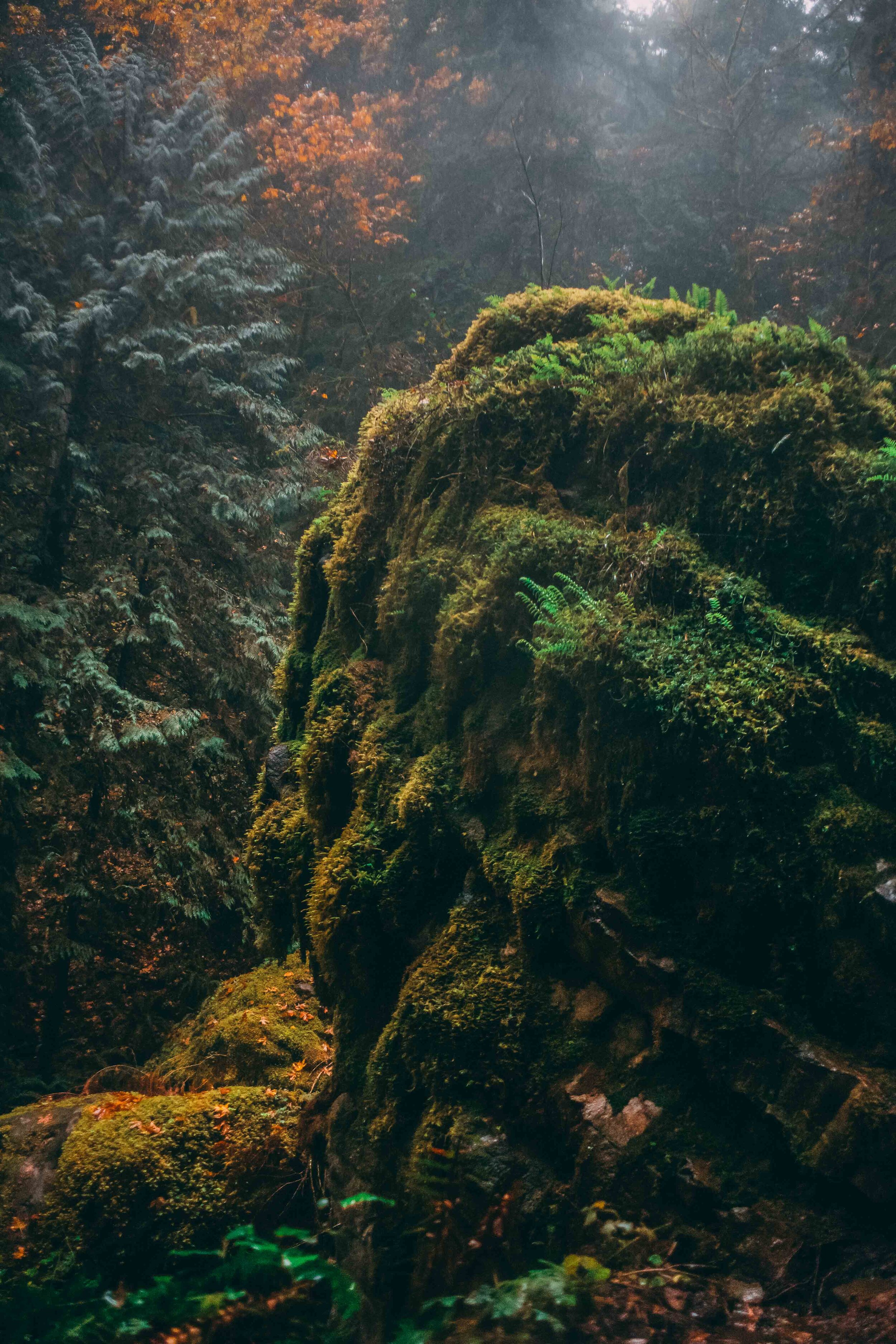 NATIONAL_PARK_PHOTOGRAPHY_TRAVEL_LANDSCAPE_PHOTOGRAPHER_JUSTICE_SIMPSON_PHOTO_AND_VIDEO_OREGON-23.JPG