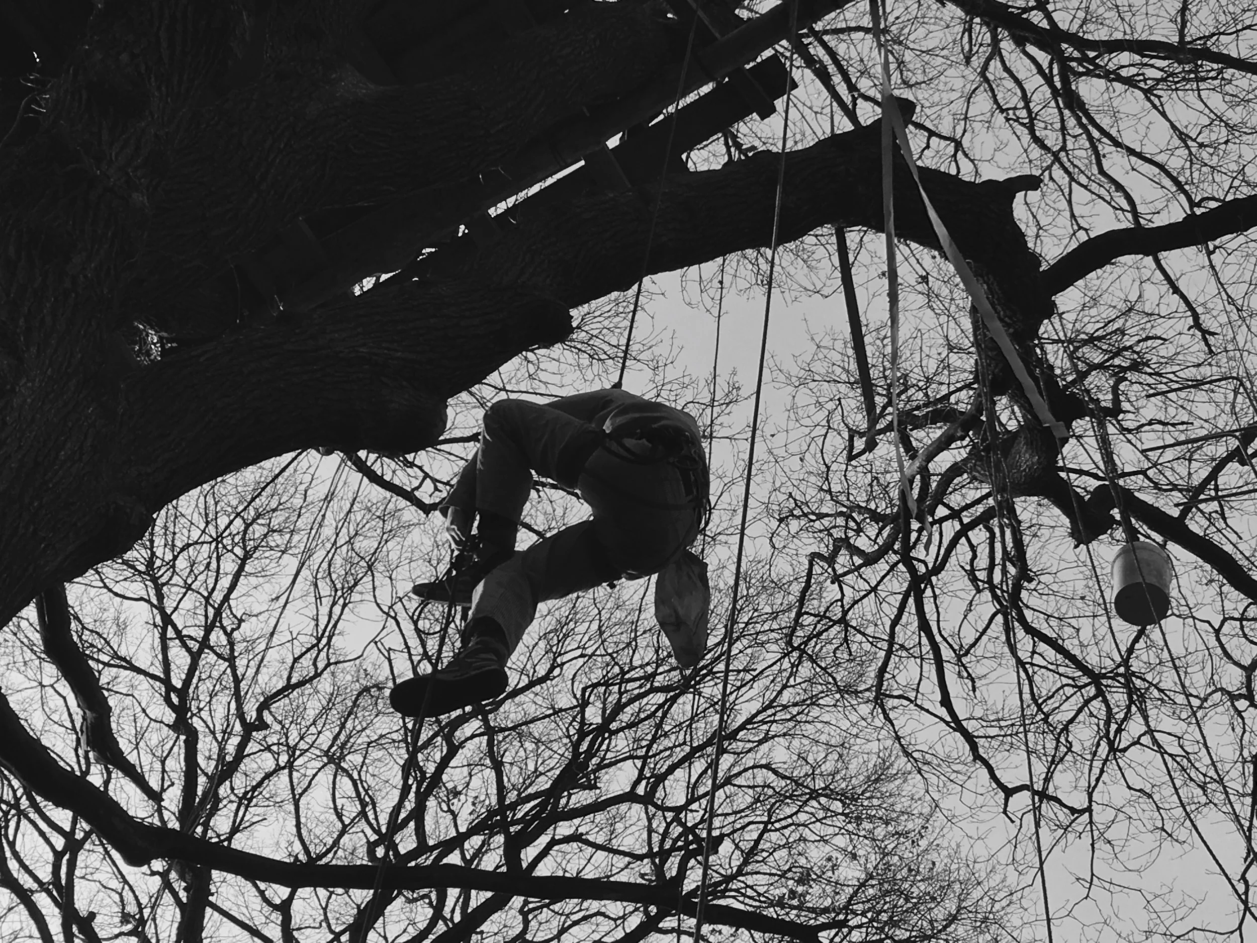 Les activistes sont restés dans la forêt après l'annonce de la Commission du charbon. Dans l'est de l'Allemagne, quatre excavatrices ont été occupées pour arrêter temporairement l'extraction, plus de vingt personnes ont été arrêtés dont trois personnes restent emprisonnés.