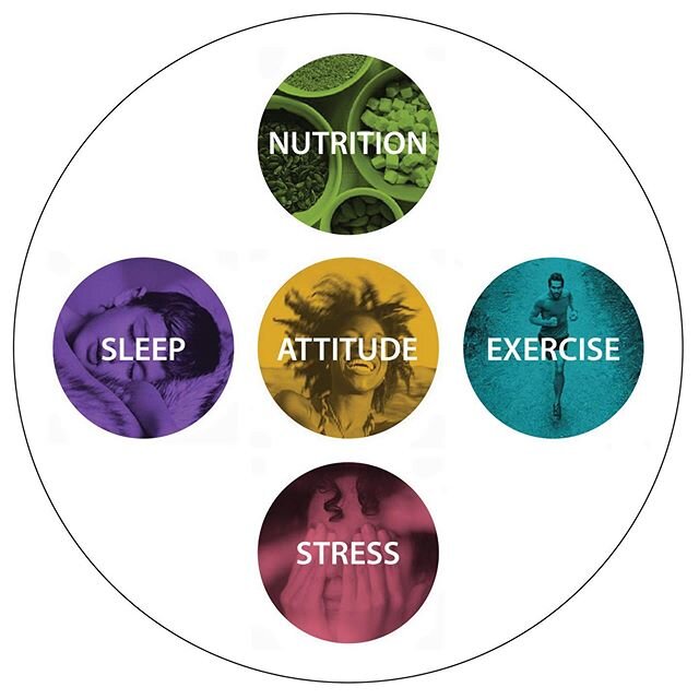 In 2020 I want to discuss what I&rsquo;m coining as &ldquo;full spectrum health&rdquo;. Full spectrum health has four working parts. Exercise, Nutrition, Sleep and Stress Management. All four components play and equal roll. At ESC we talk about exerc