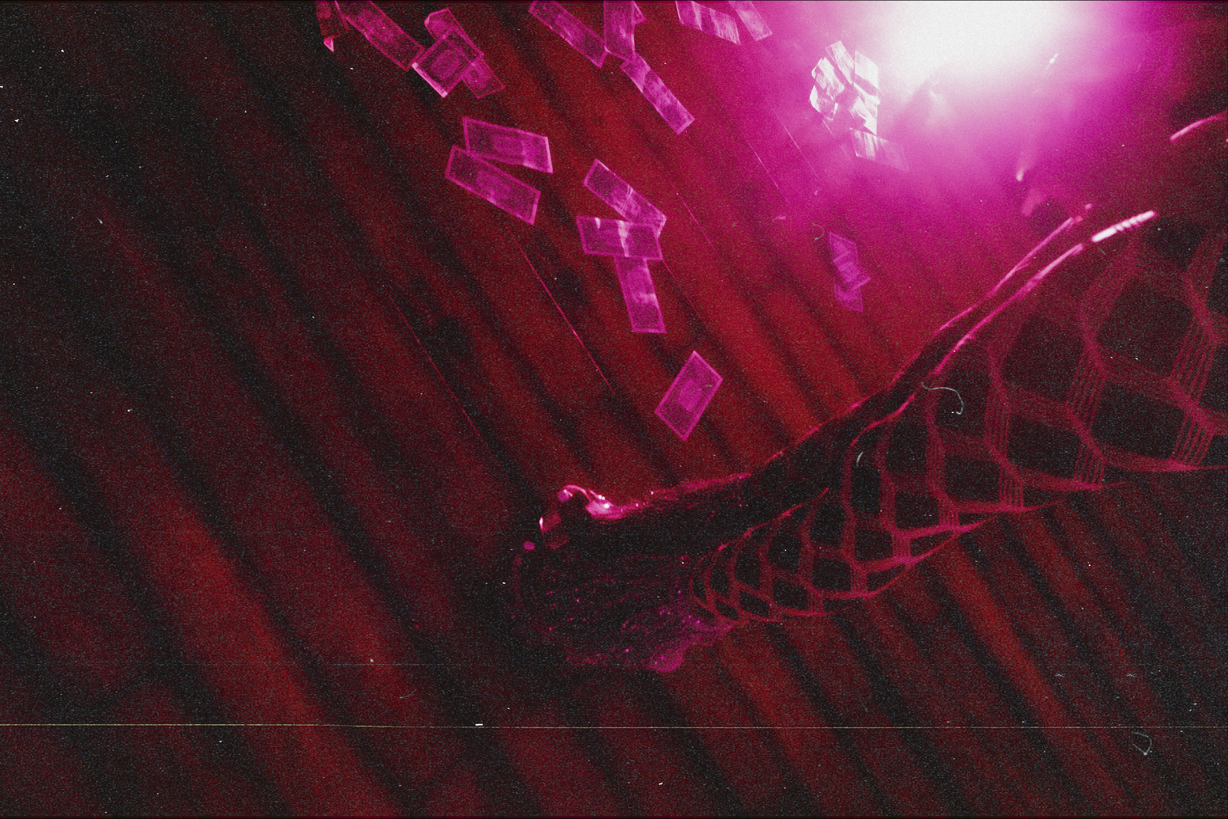 SMITH_20260103-81-Edit.png