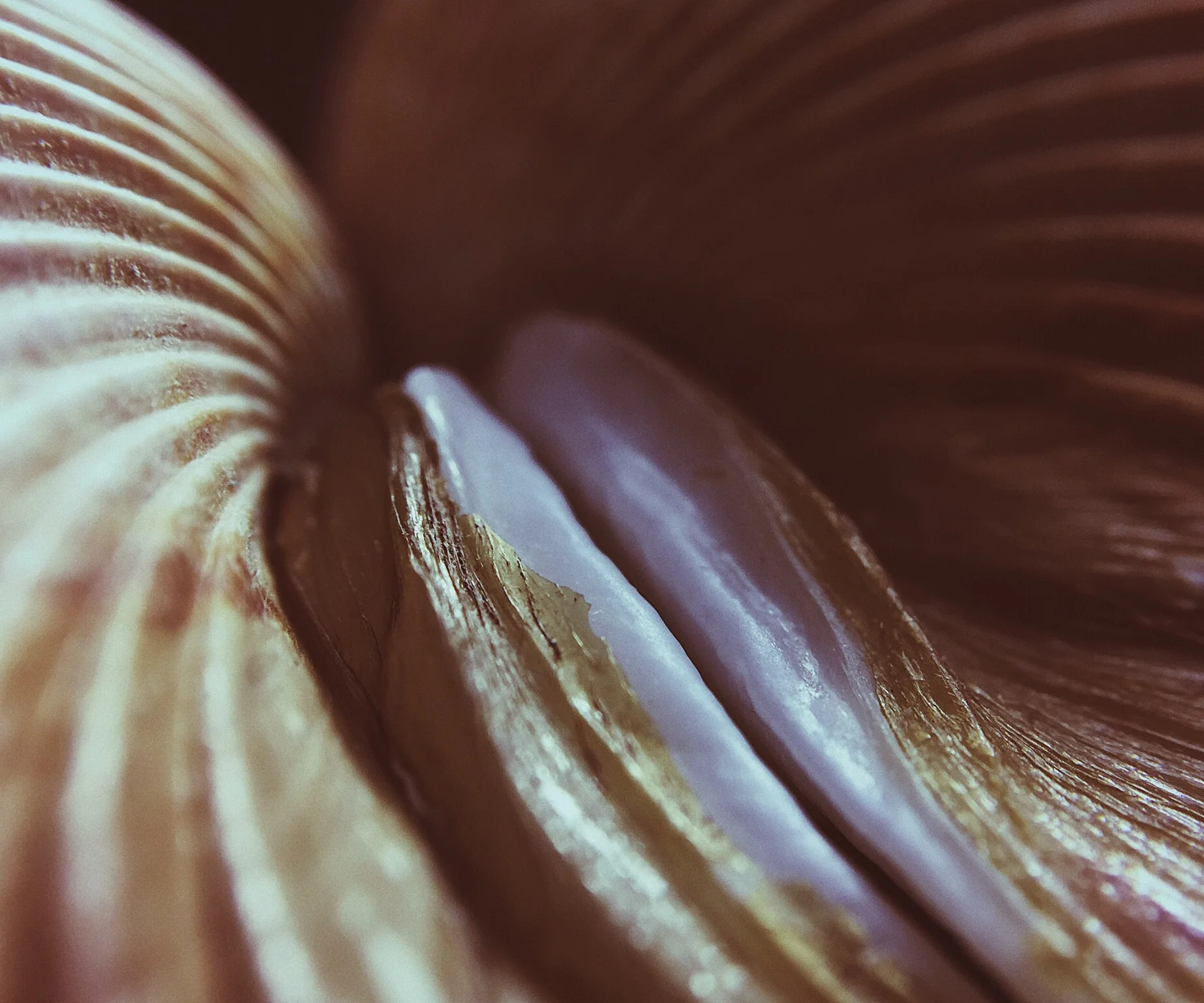Contours