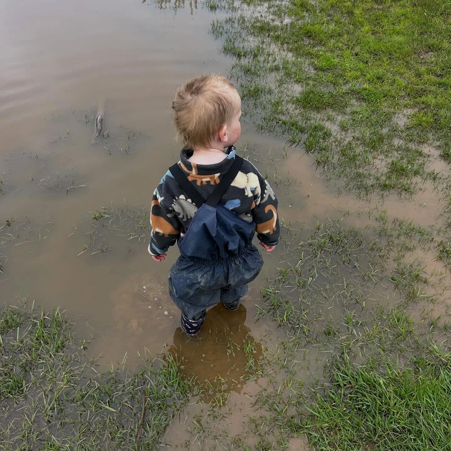 A gorgeous moment from playgroup last cycle. We will be back for our all weather PIVS playgroup on Tuesday 7th October from 9:30-11:15 am. Come and join us for a relaxed catch up and explore. #phillipislandvillageschool #alternativeeducation #basscoa