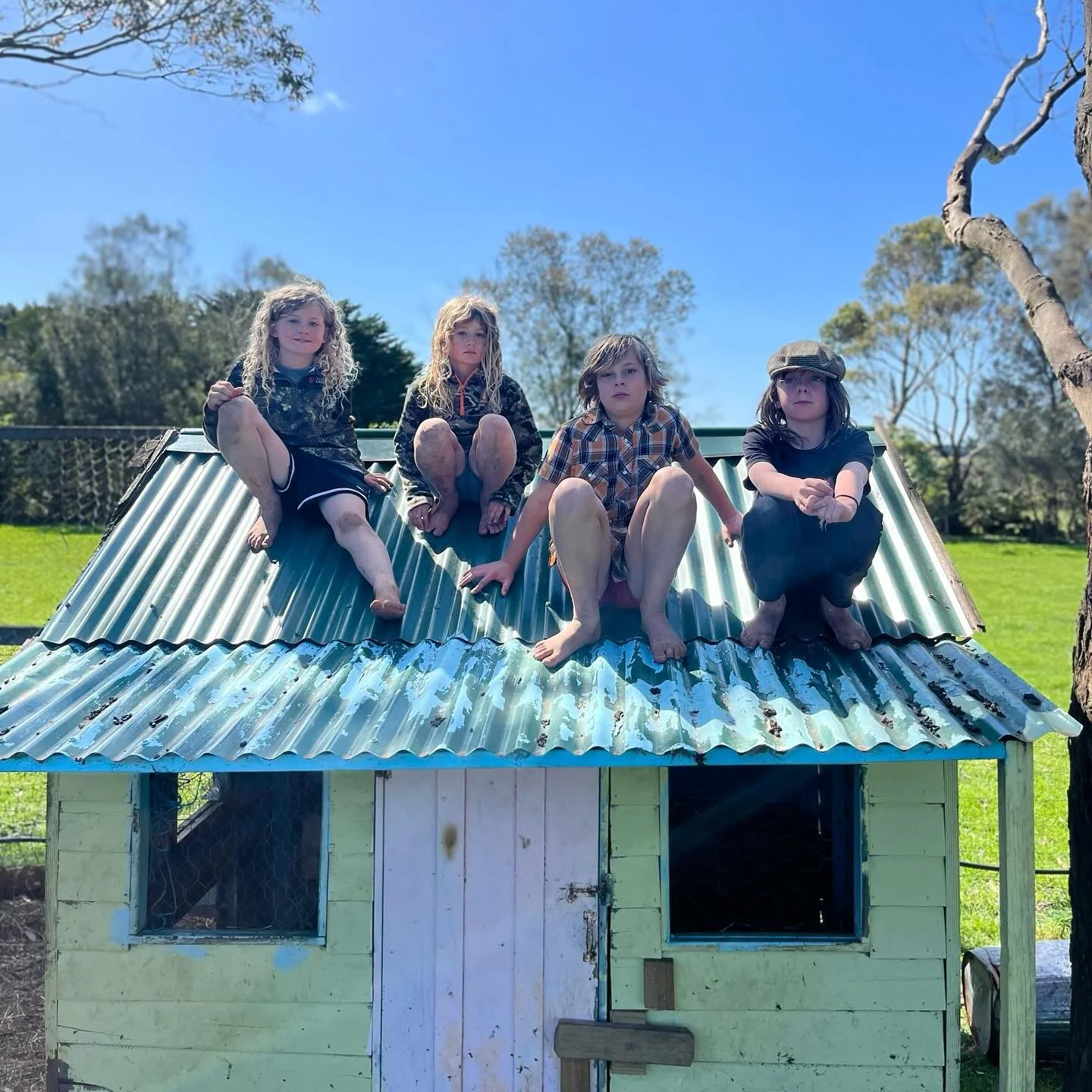 What excellent spring sunshine it has been today! Perfect for running and climbing and taking a moment to chill out on the roof of the chook house #phillipislandvillageschool #alternativeeducation #basscoast #outdoorplay