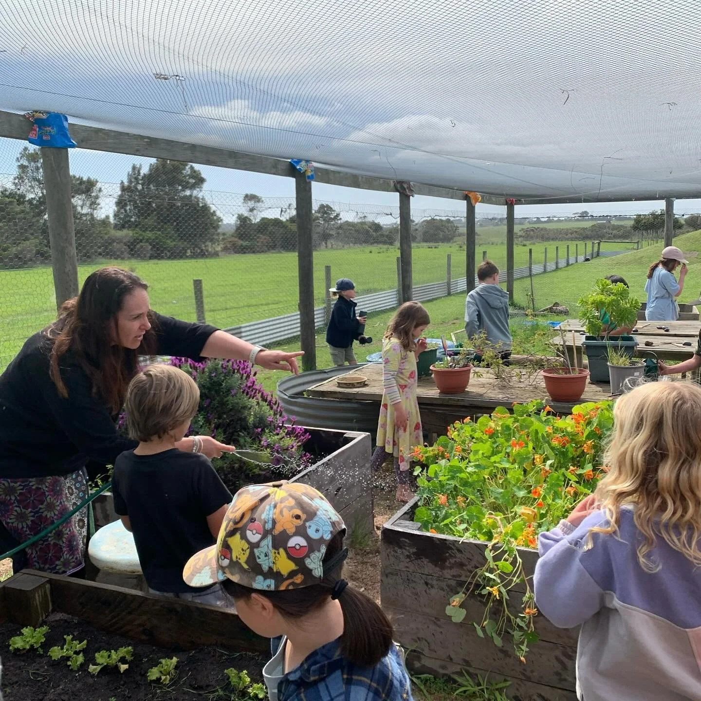 Spending time in the kitchen garden is more than just learning about plants. Our kitchen garden is a place for curiosity, collaboration and care. Students have opportunities to dig, plant, harvest and taste, exploring where food comes from and how to