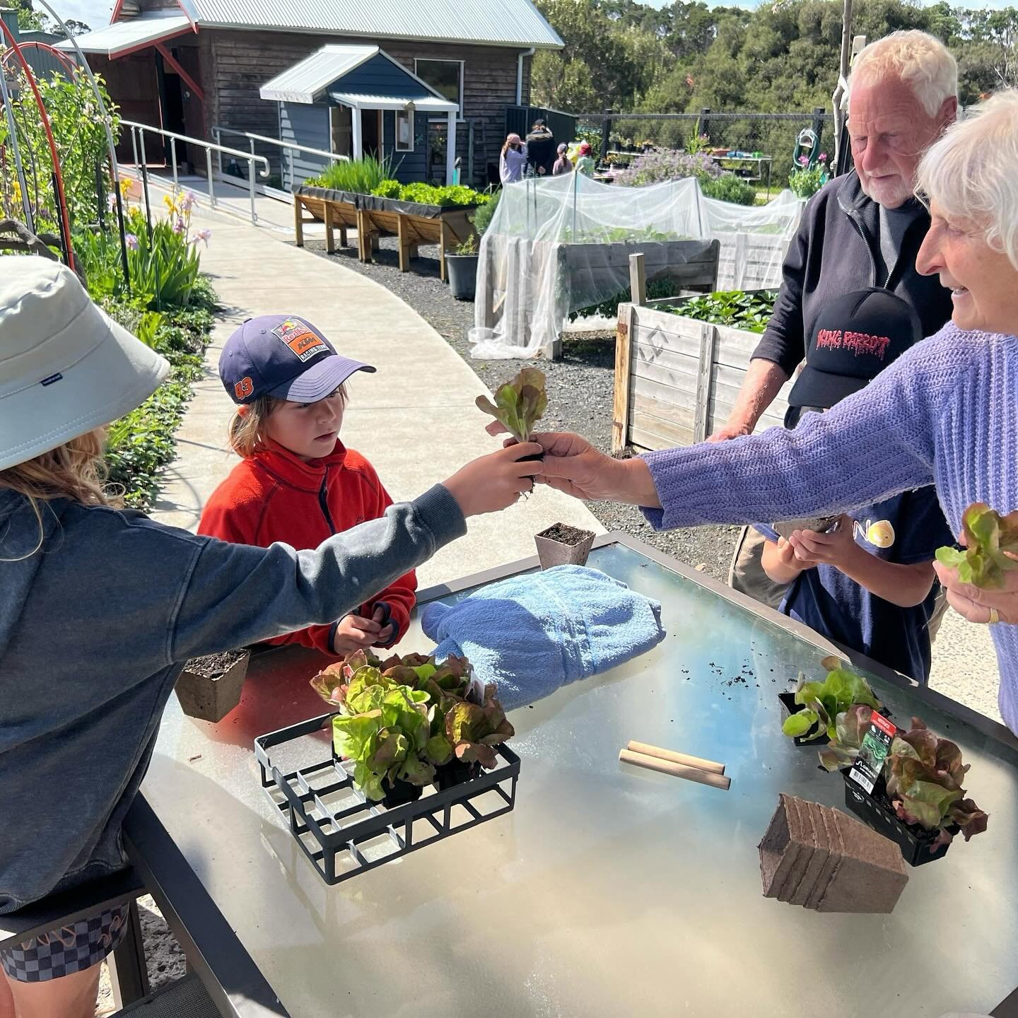 Last week our early years students enjoyed a guided tour of PICAL&rsquo;s wonderful community garden, where they learned about sustainable gardening practices such as composting, worm farms, and water-wise systems from their knowledgeable volunteers.