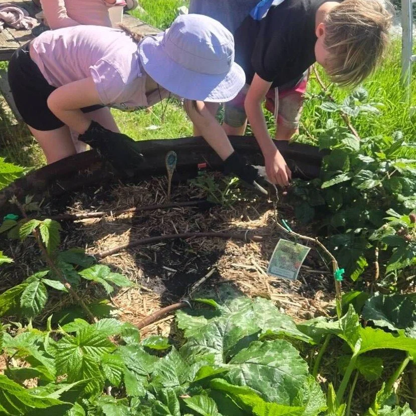 With our new kitchen garden drip irrigation system now up and running, we&rsquo;d like to acknowledge and thank Westernport Water for their support through the 2025&ndash;26 Community Support Program. This irrigation project will help us use water mo