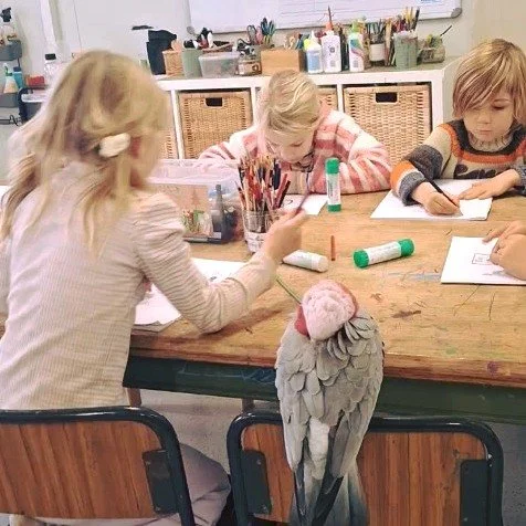 Starting school is a big step.

We believe Foundation should nurture curiosity, confidence, friendships and a love of learning - not rush children through childhood.

Children learn best when they can move, play, ask questions, build relationships an