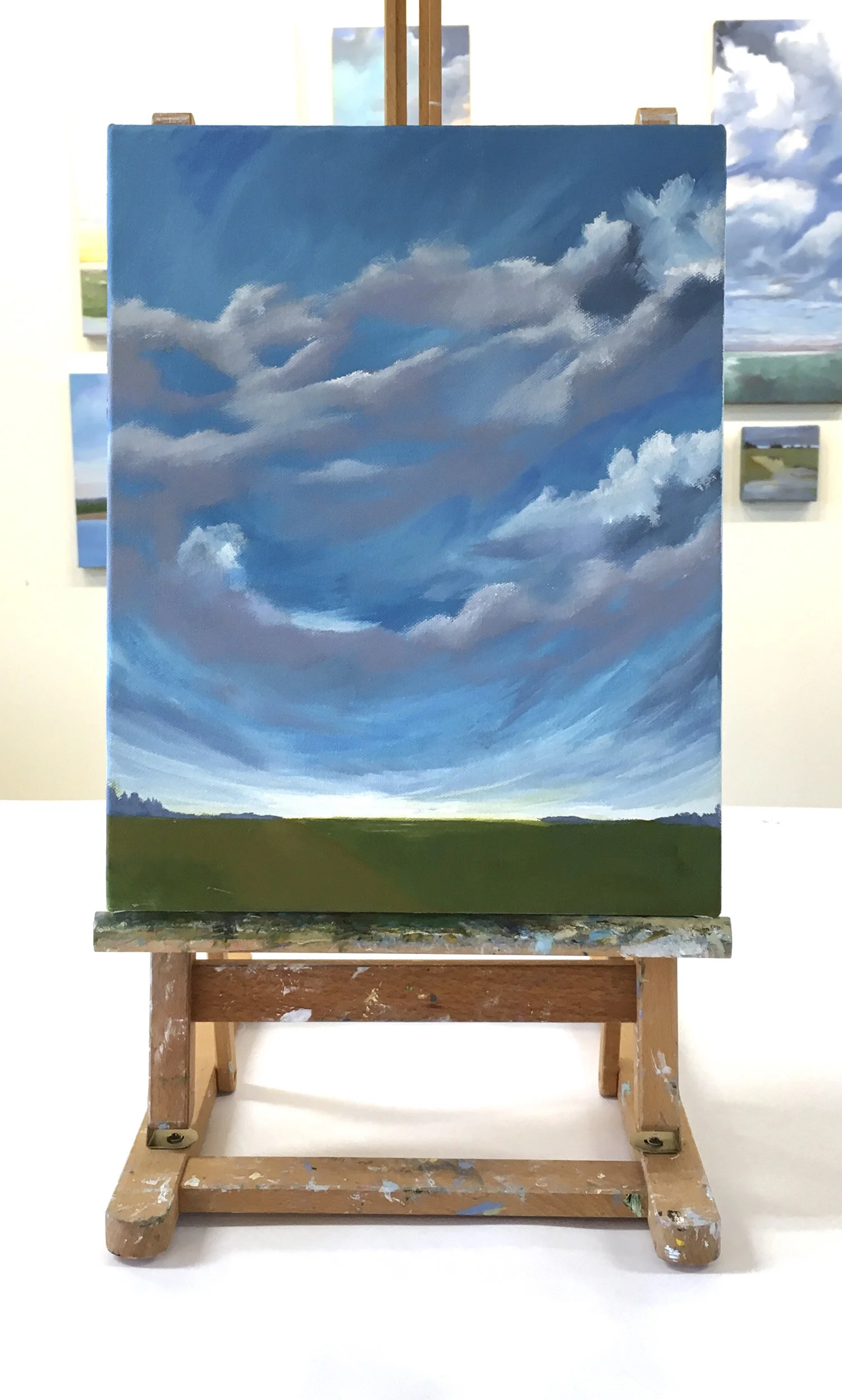Barbara-J-Hart-Drift Away on easel.jpg