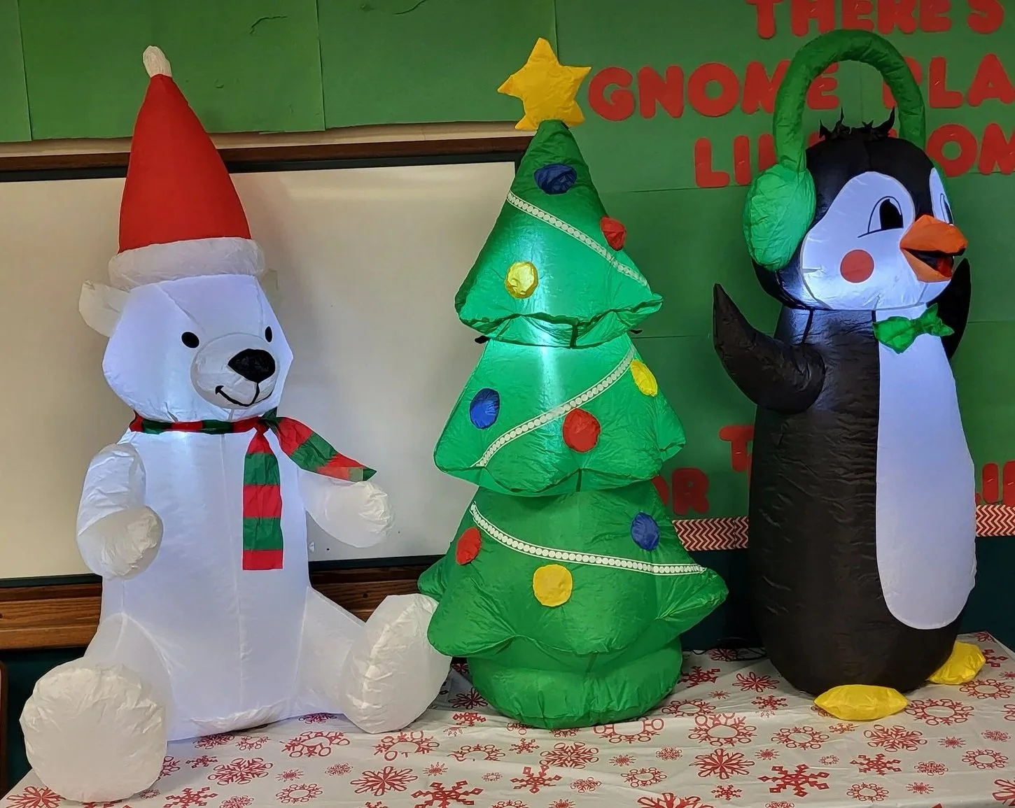 20251213_091419.jpg