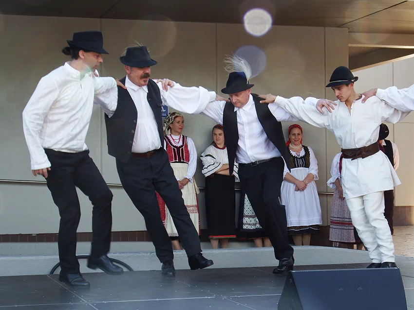 Héjsza, Dubbo 2015
