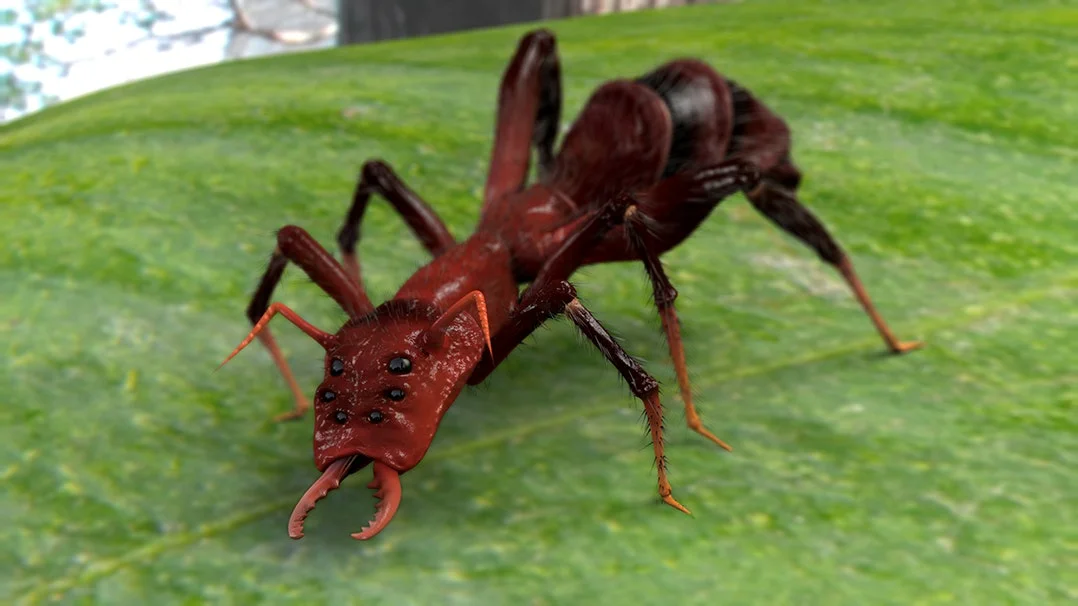 Advanced Compositing Workflows in Maya and After Effects