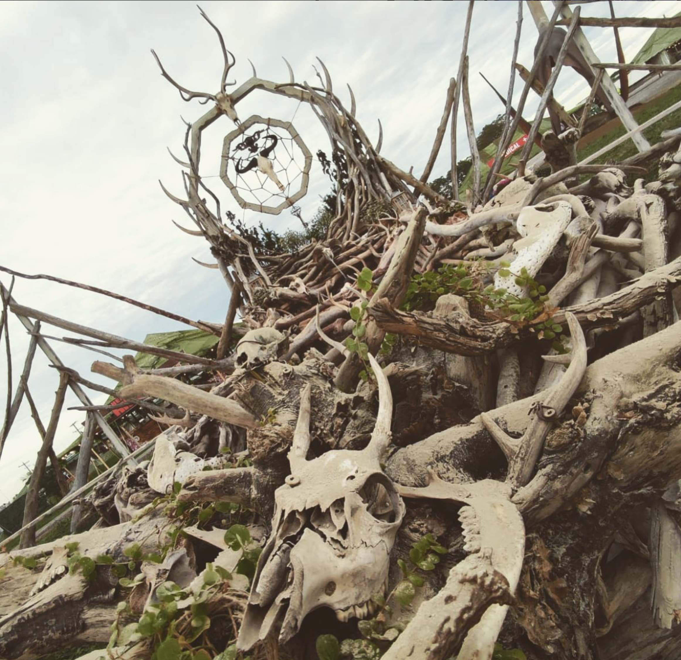 Screenshot 2024-11-29 at 1.32.26 AM.png