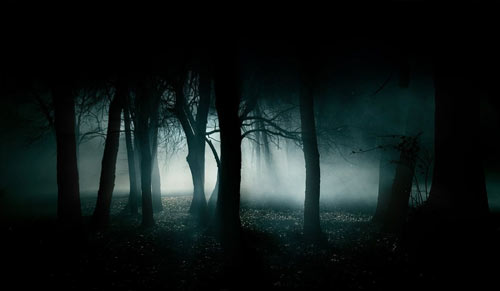 horror-woods50.jpg