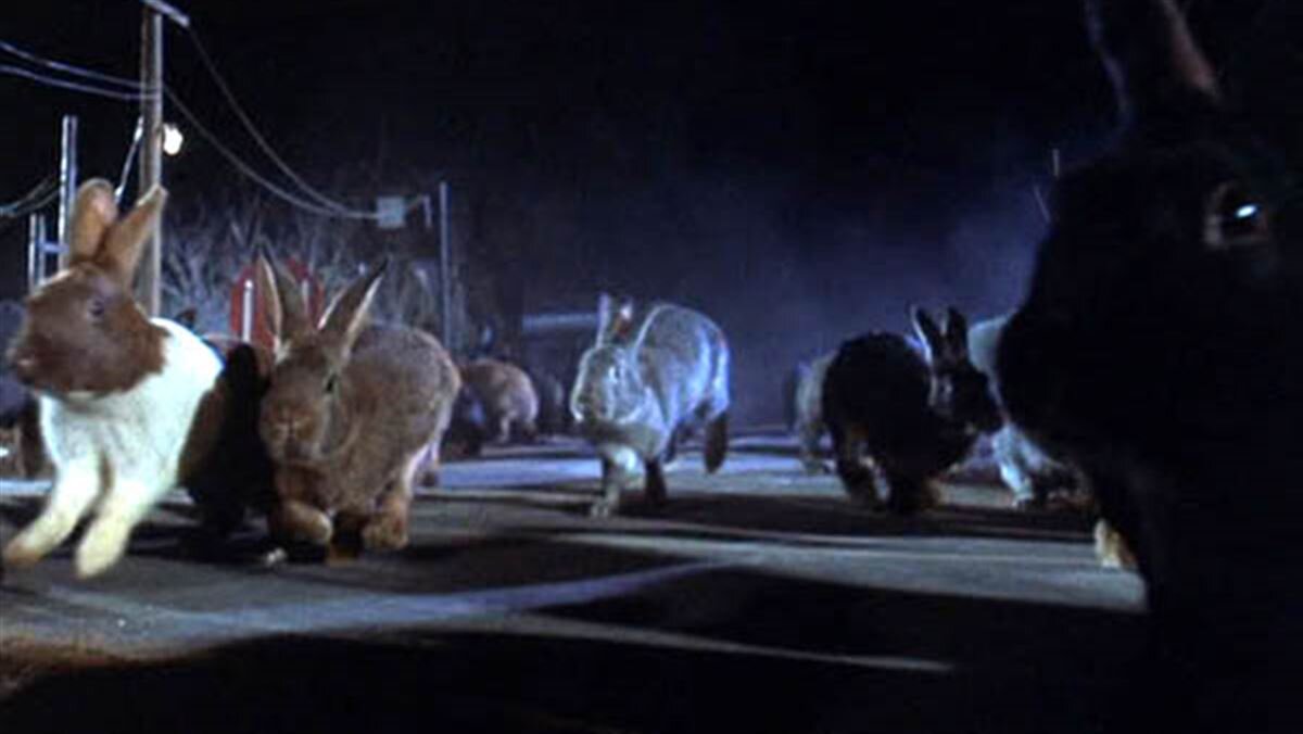 NightoftheLepus.jpg