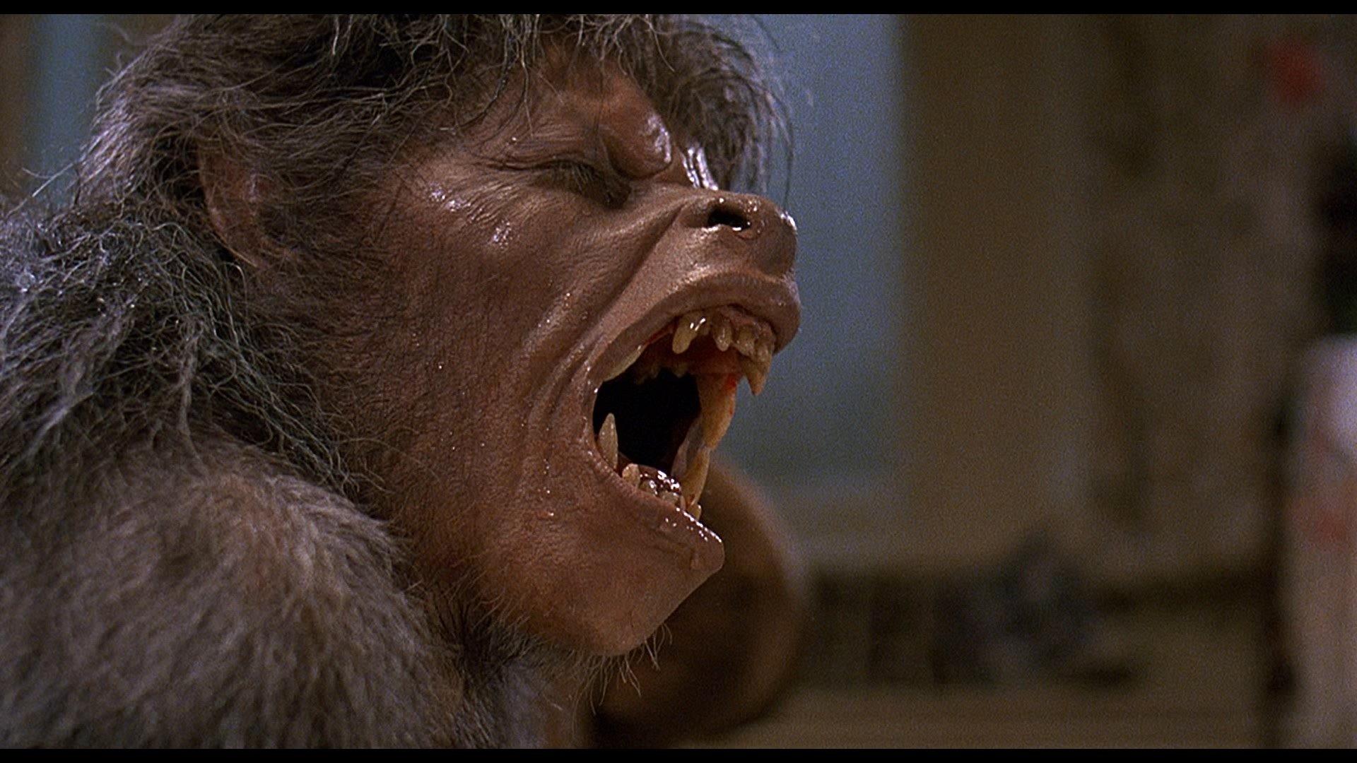 american-werewolf.jpg