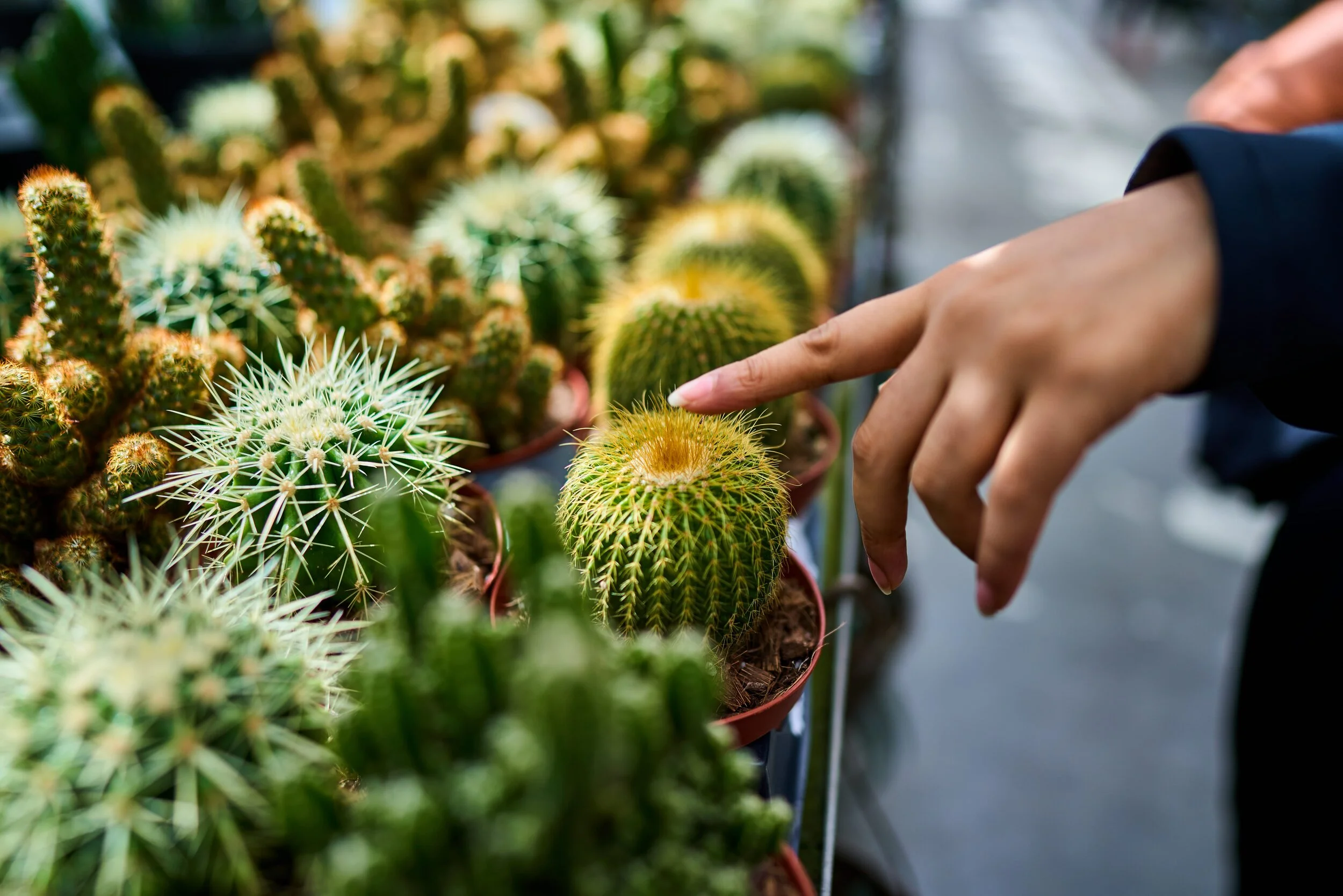 newklbbackground 287 copy.jpg