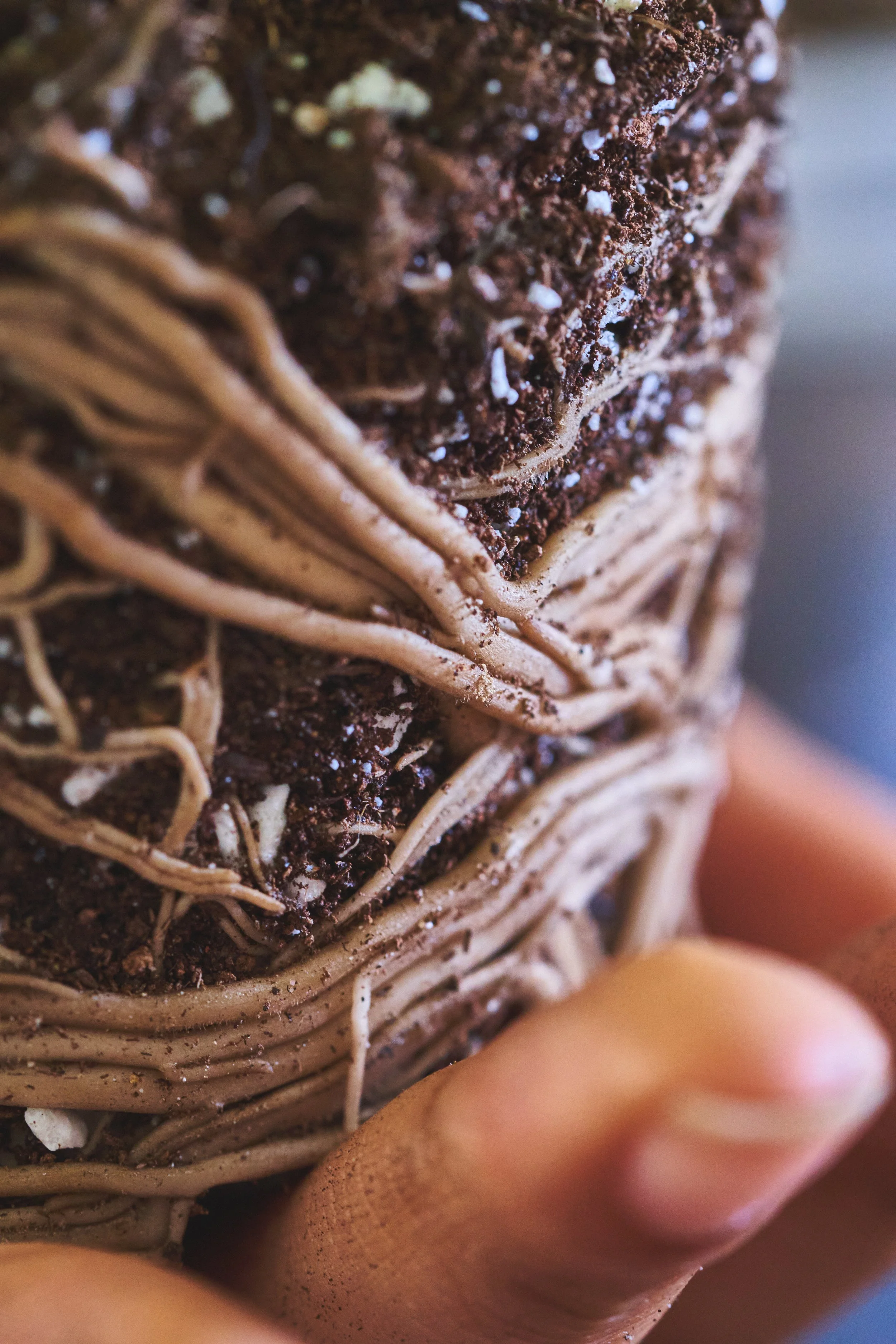 ILCE-7M3sell for A1 11.jpg