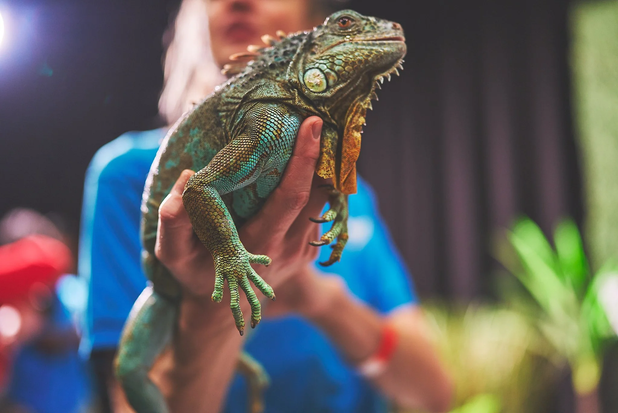 SONYILCE-7SM335:1.4Apr 27 2024:1-12 PMkyky.jpg