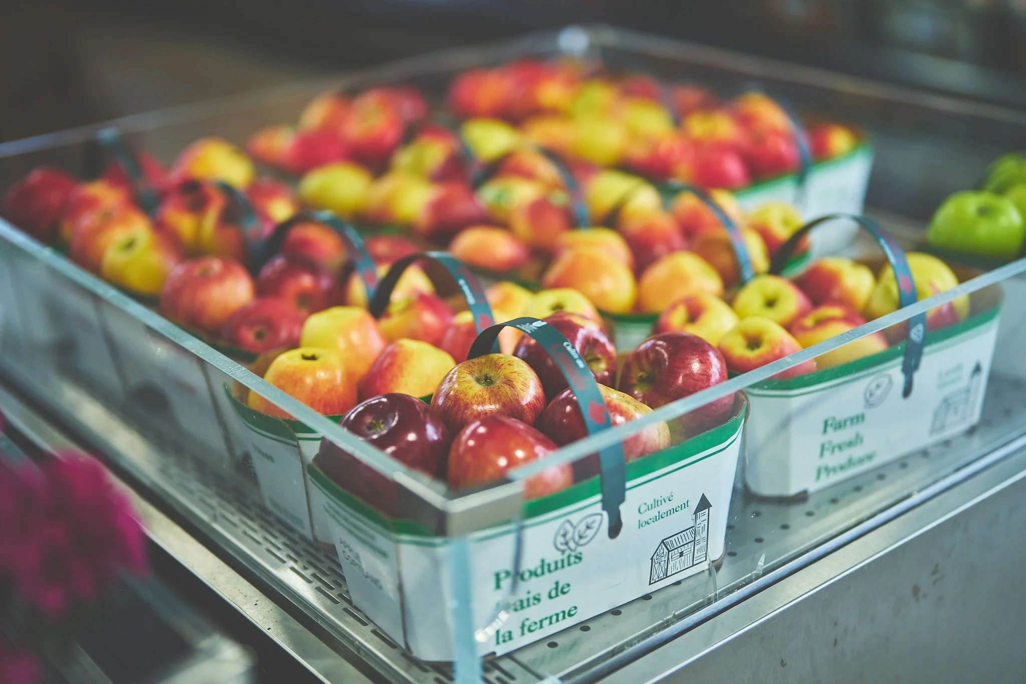 SONYILCE-150:1.2Apr 17 2024:3-07 PM.jpg