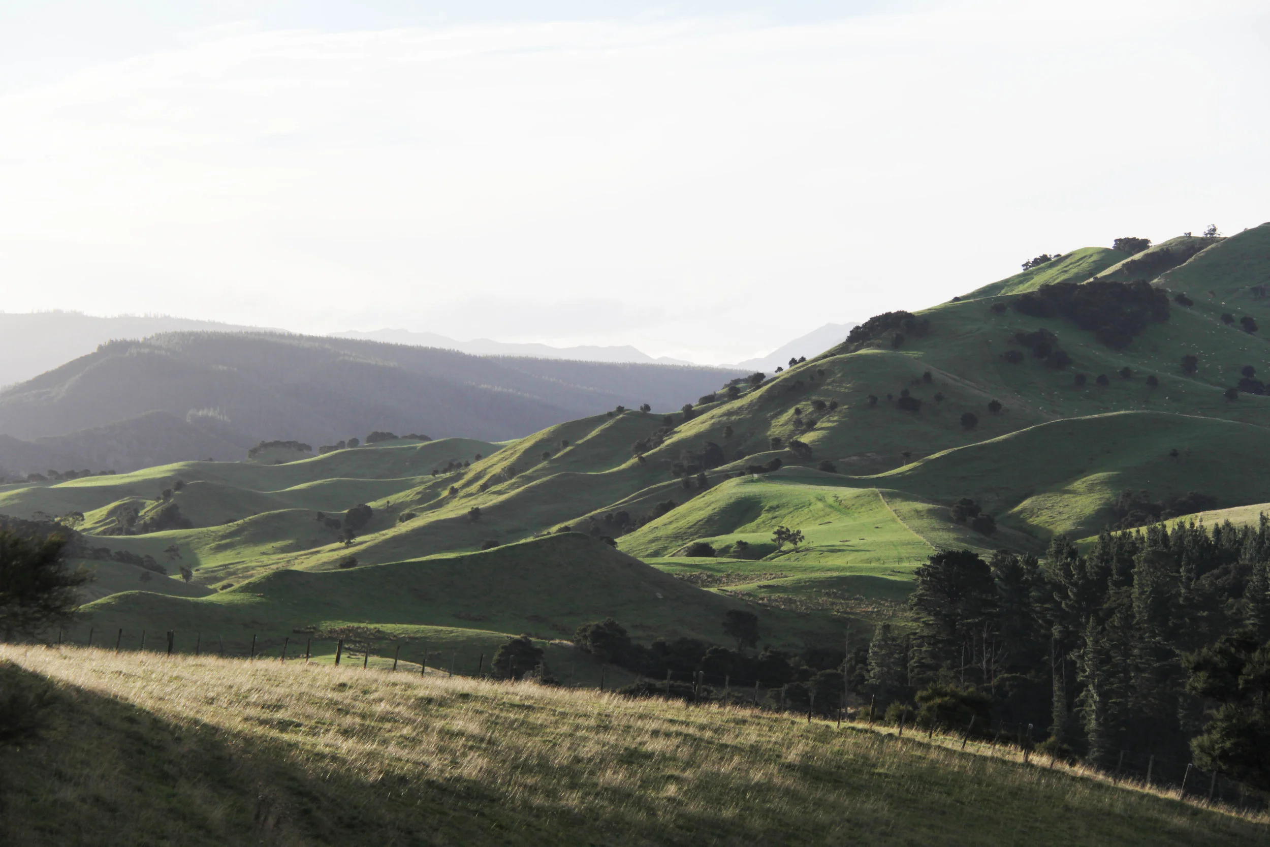 "We Value Properties and Our Clients"