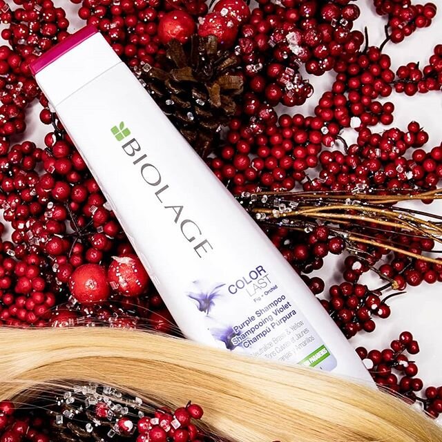 Holiday style @biolage product shoot for @sugar.hair.salon 
#catheree