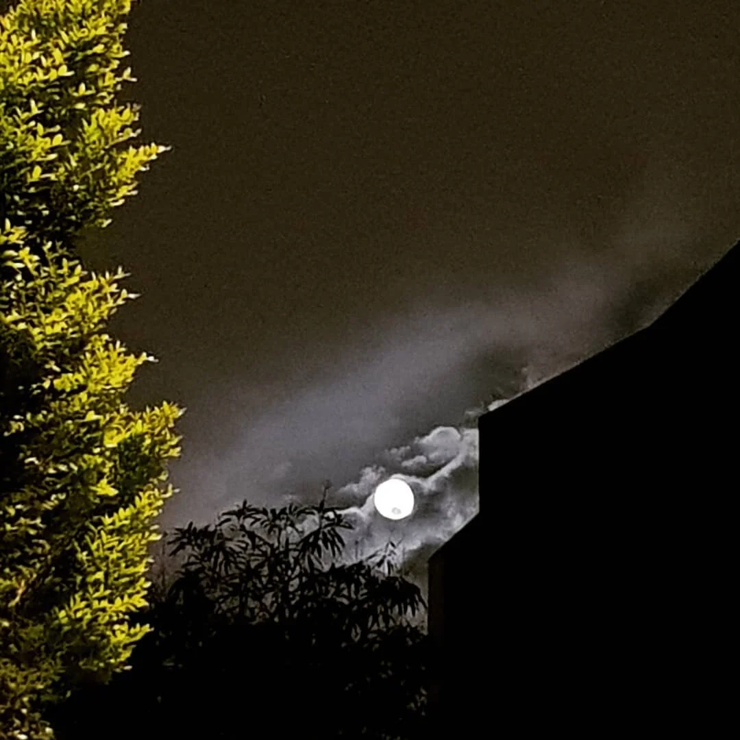 FULL MOON FERTILE FROG MEDICINE. I like taking a walk under full moon glow each month. it's a marker of the cycles, celestial seasons to note the passing of time here in lieu of the turning of earthly seasons. this full moon in the sign of libra is a