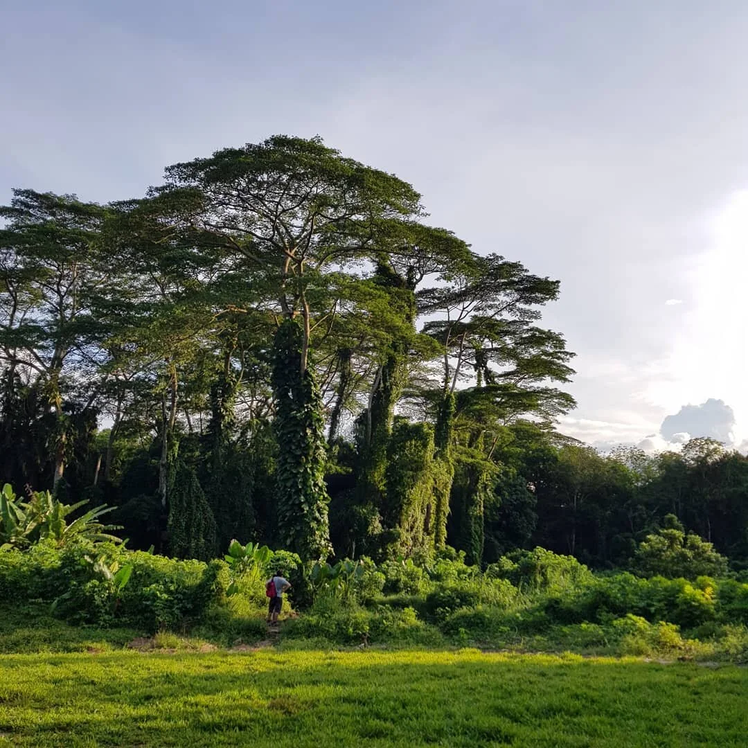 A POETRY PAUSE. in these constantly changing times, other than my various somatic practices, words are another anchor for me. may these precious words by Martha Postlethwaite offer you refuge too:⁣
⁣
𝘋𝘰 𝘯𝘰𝘵 𝘵𝘳𝘺 𝘵𝘰 𝘴𝘦𝘳𝘷𝘦⁣
𝘵𝘩𝘦 𝘸𝘩𝘰?