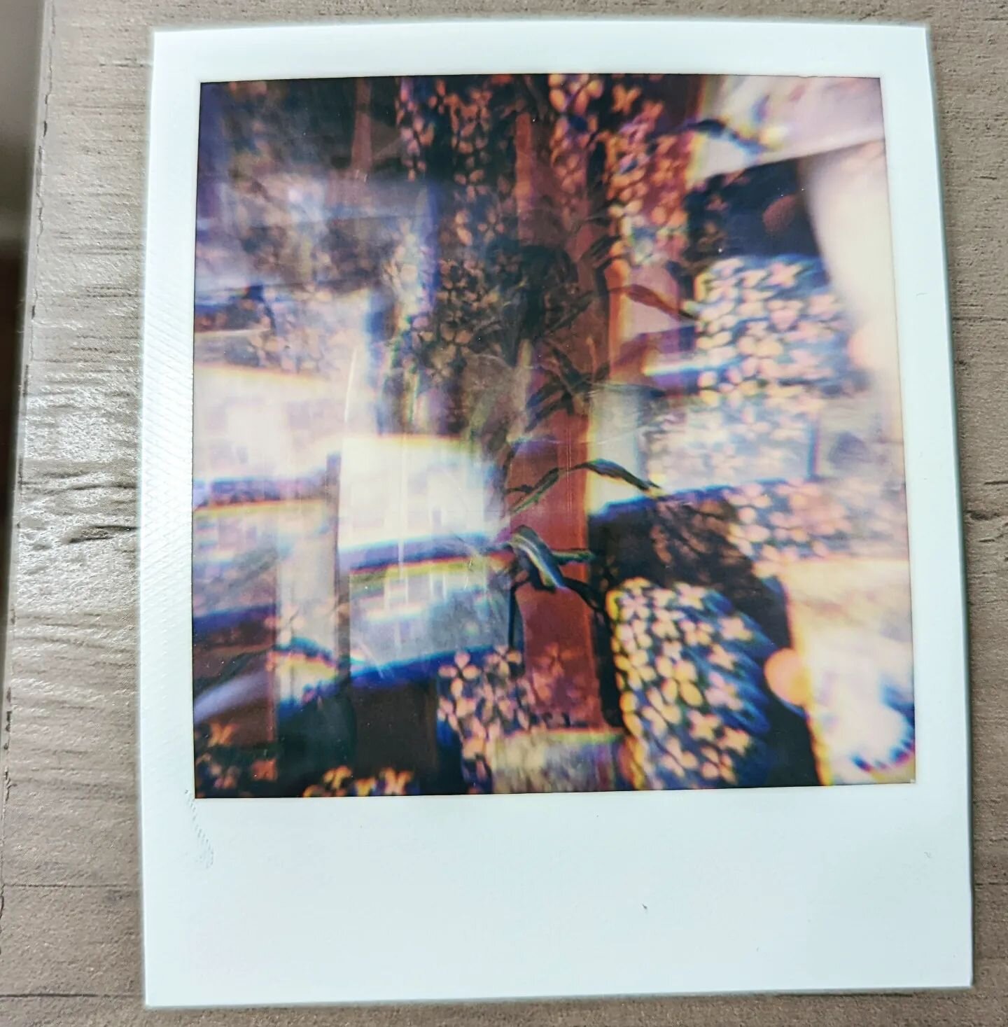 My favorite part of a lovely gift from a friend. &quot;Hydrangeas at night through 💜 prism&quot;. (2021). Alison Courtney. Polaroid. @alisontcourtney 💗