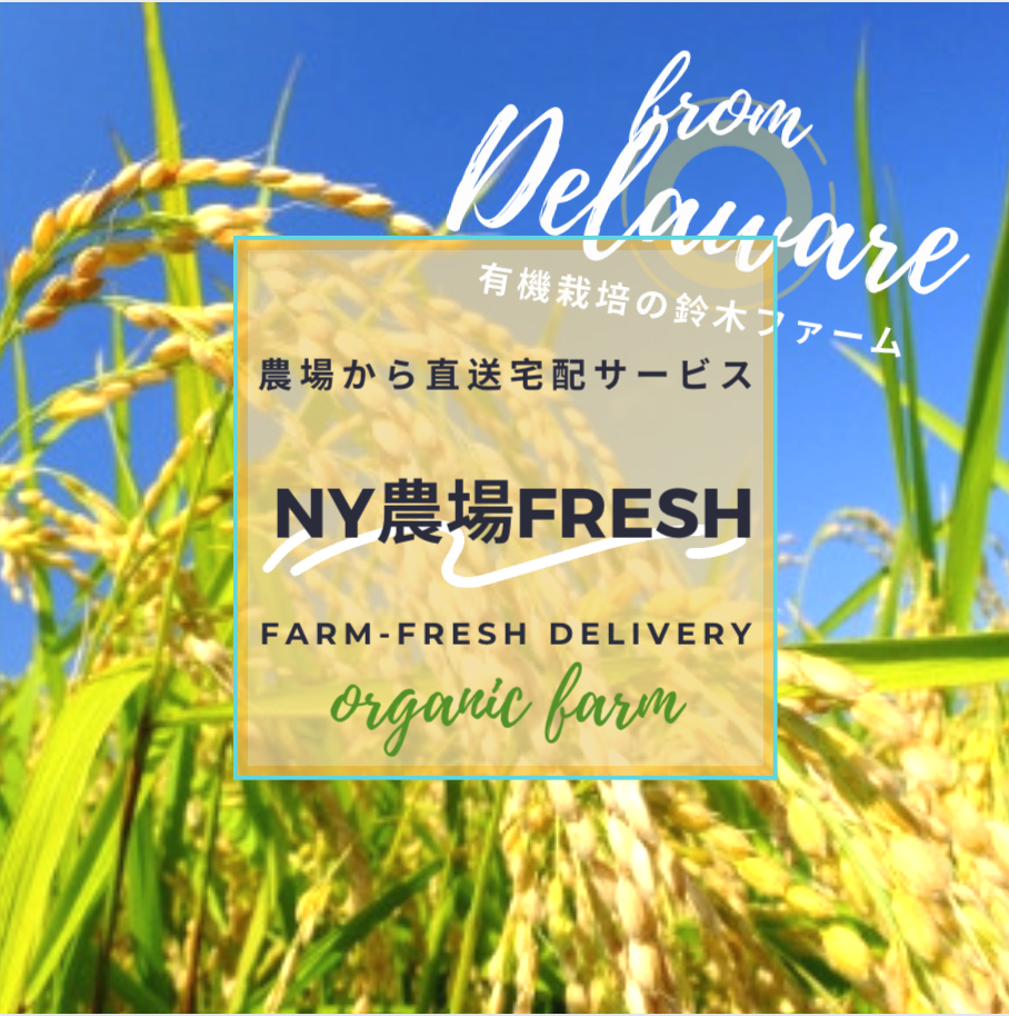 NY農場FRESH
