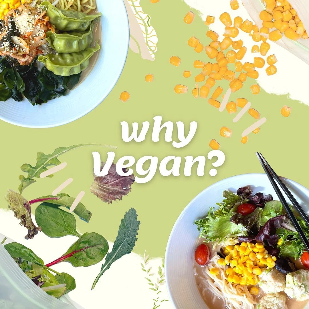 Being vegan is getting popular and popular due to innovation in the plant-based industry as well as raising awareness of health 🌱 Actually, one in 16 people in the United States is vegan 😲 That means 20 million people are having vegan diets in the 