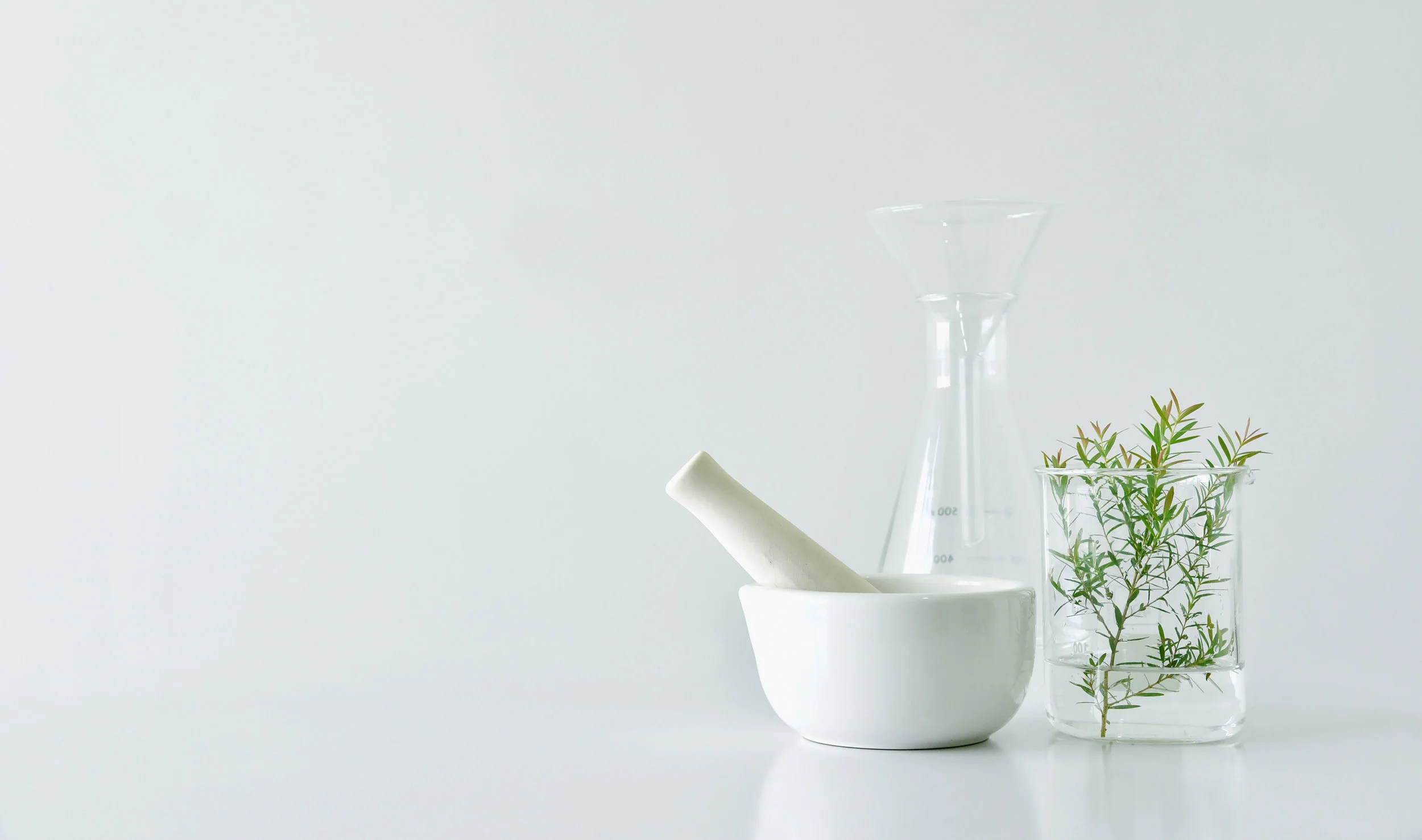 AdobeStock_163906243.jpeg