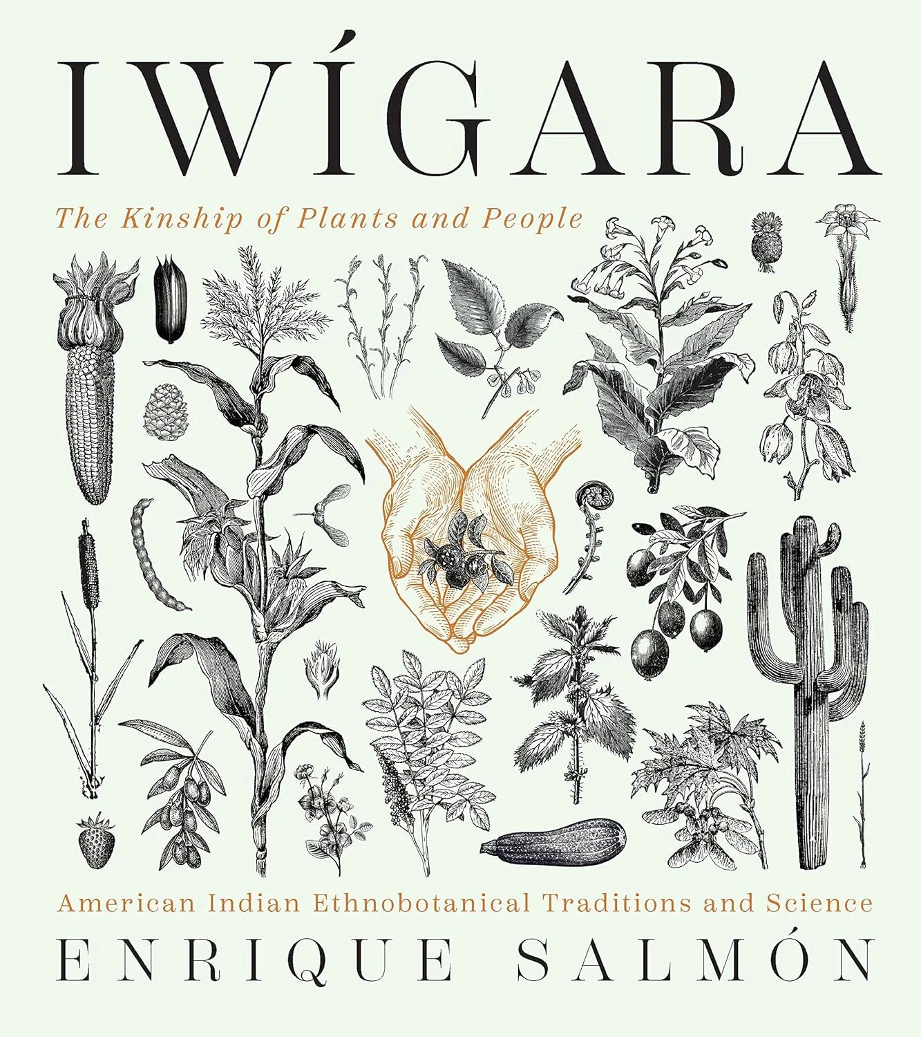 Iwígara: American Indian Ethnobotanical Traditions and Science by Enrique Salmón