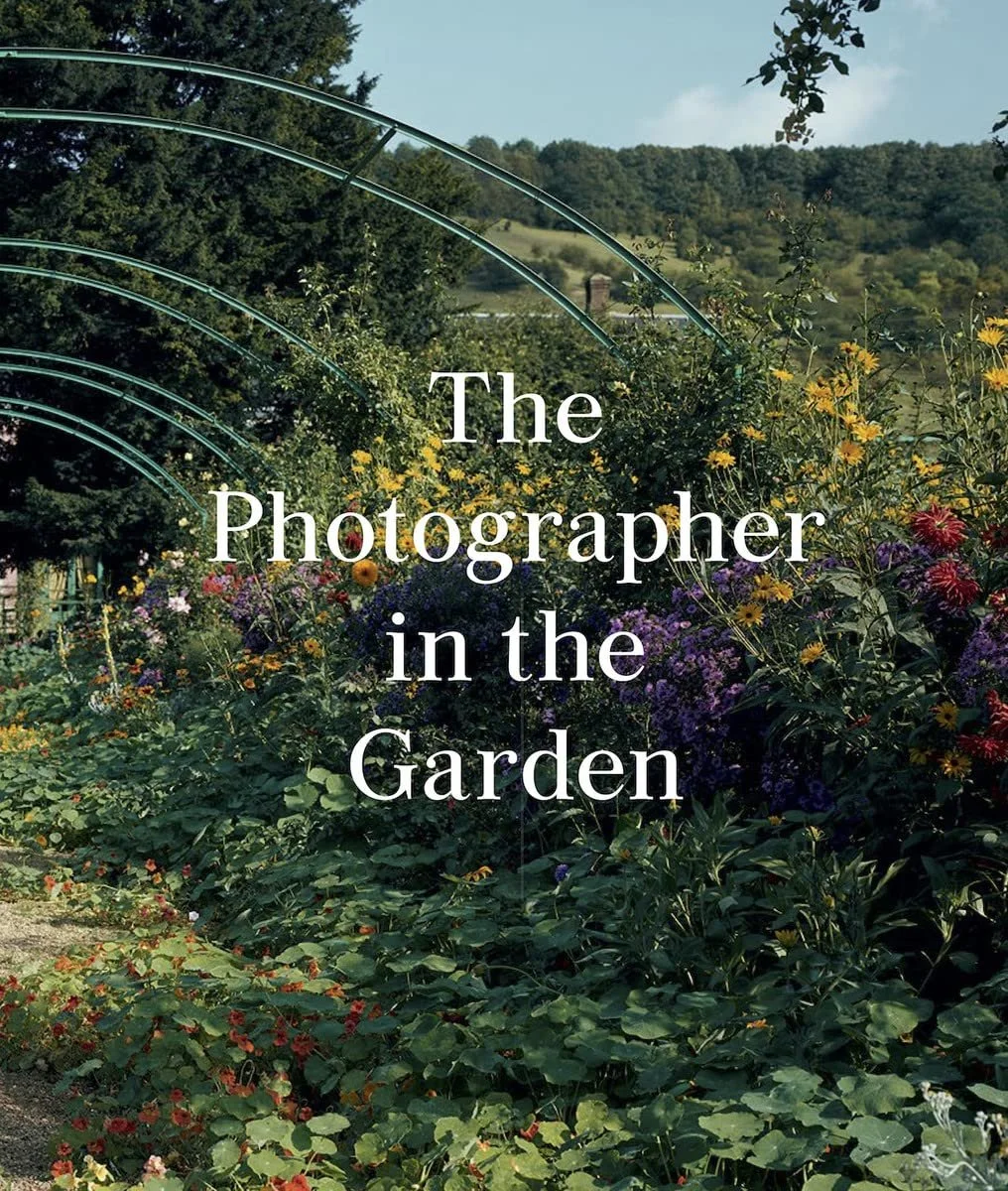 The Photographer in the Garden by Jamie M. Allen and Sarah Anne McNear