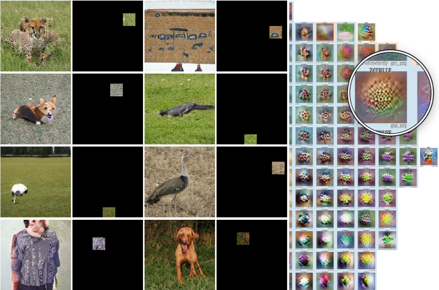 Mixed3a, Cell(20,32) in 40x40 Grid: Dataset examples &amp; spatial activation slices taken from BigGan during experiment