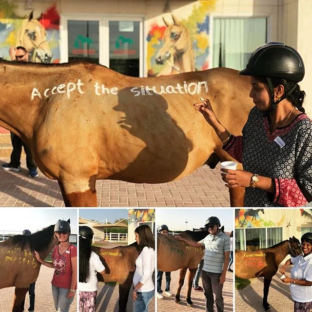 Spent my weekend facilitating parents of children with special needs with the help of our wonderful horses at Al Marmoom. The common themes, we left with were acceptance and presence. #zahrapoonawala_official #specialneeds #supportgroup #acceptance #