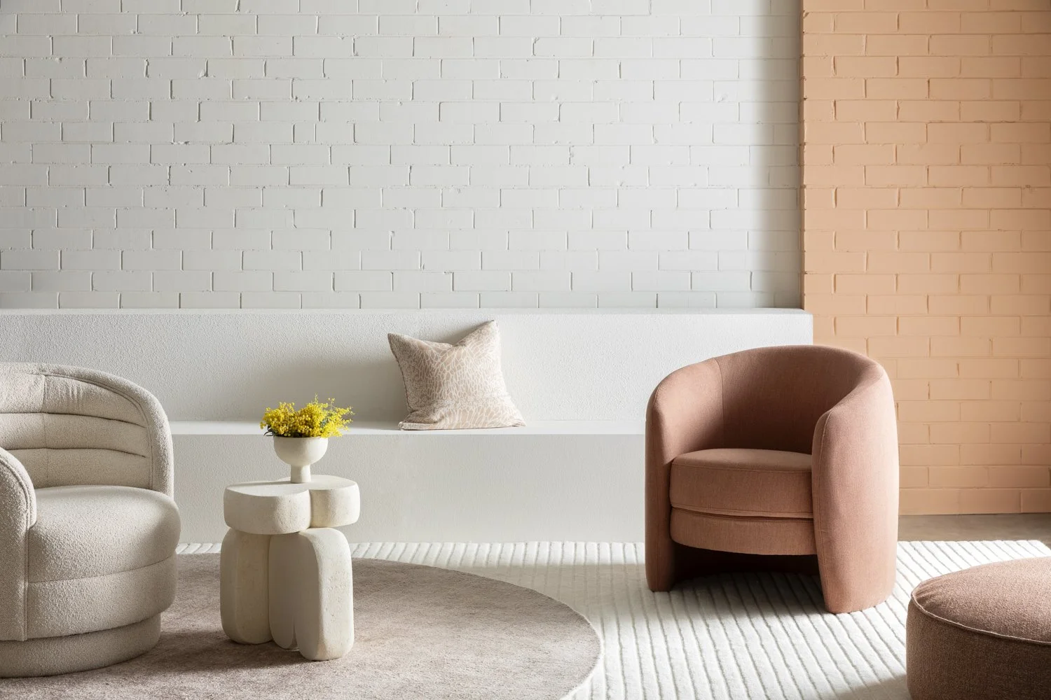 Haymes_CF24_2089_Gemmola_LR.jpg