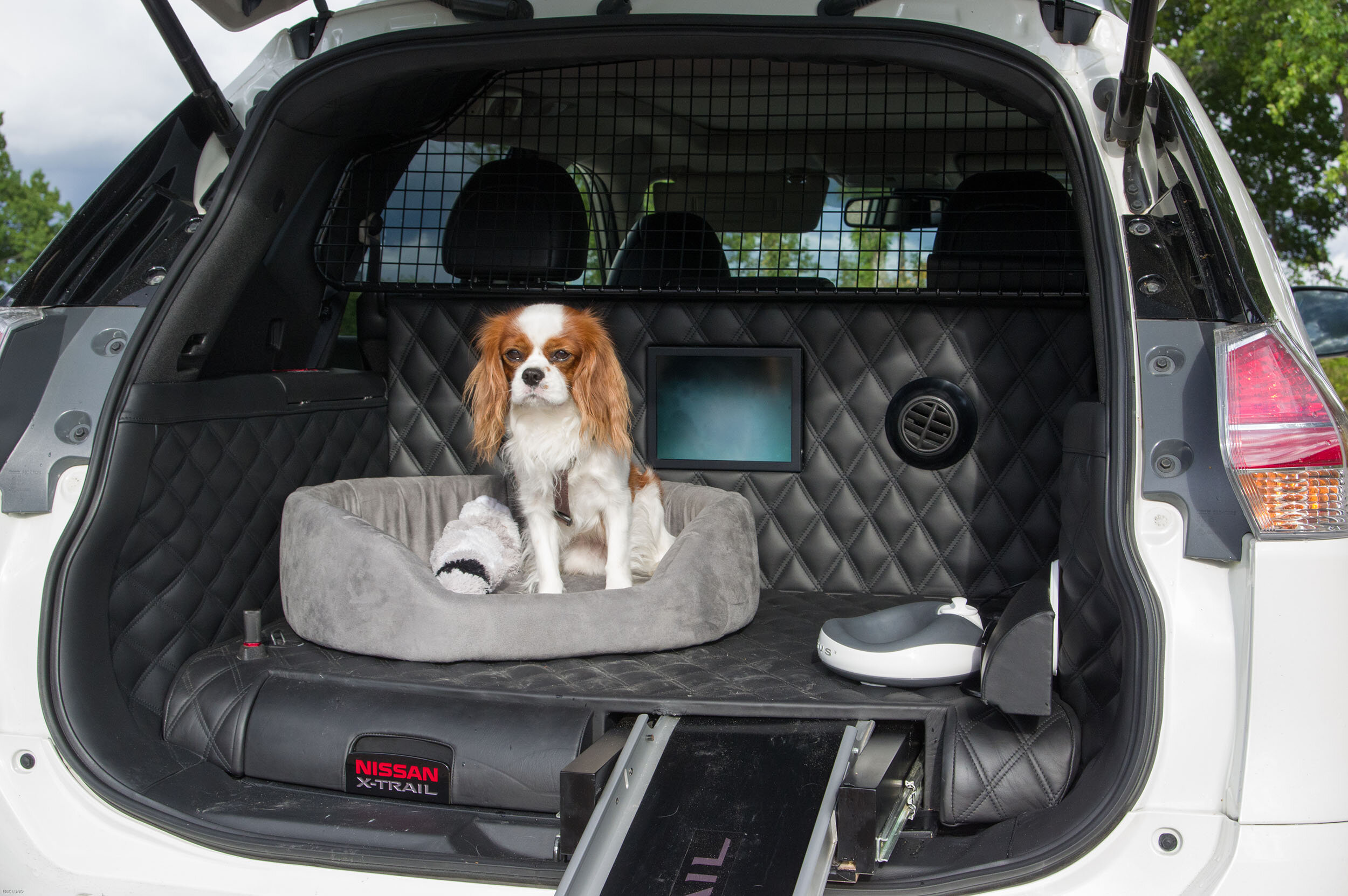 Nissan X-Trail 4Dogs.