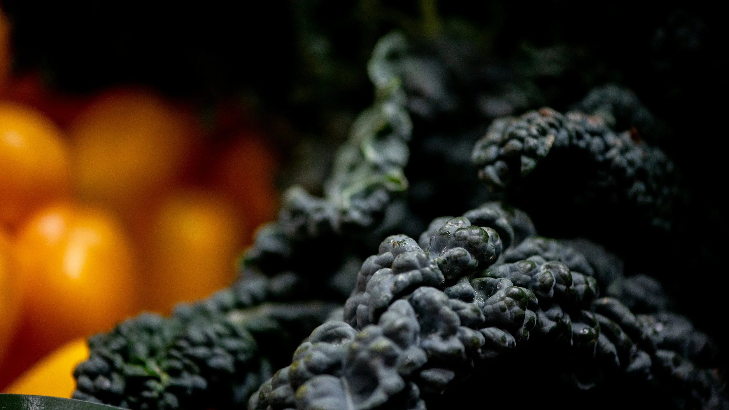 close up shot of the texture of kale