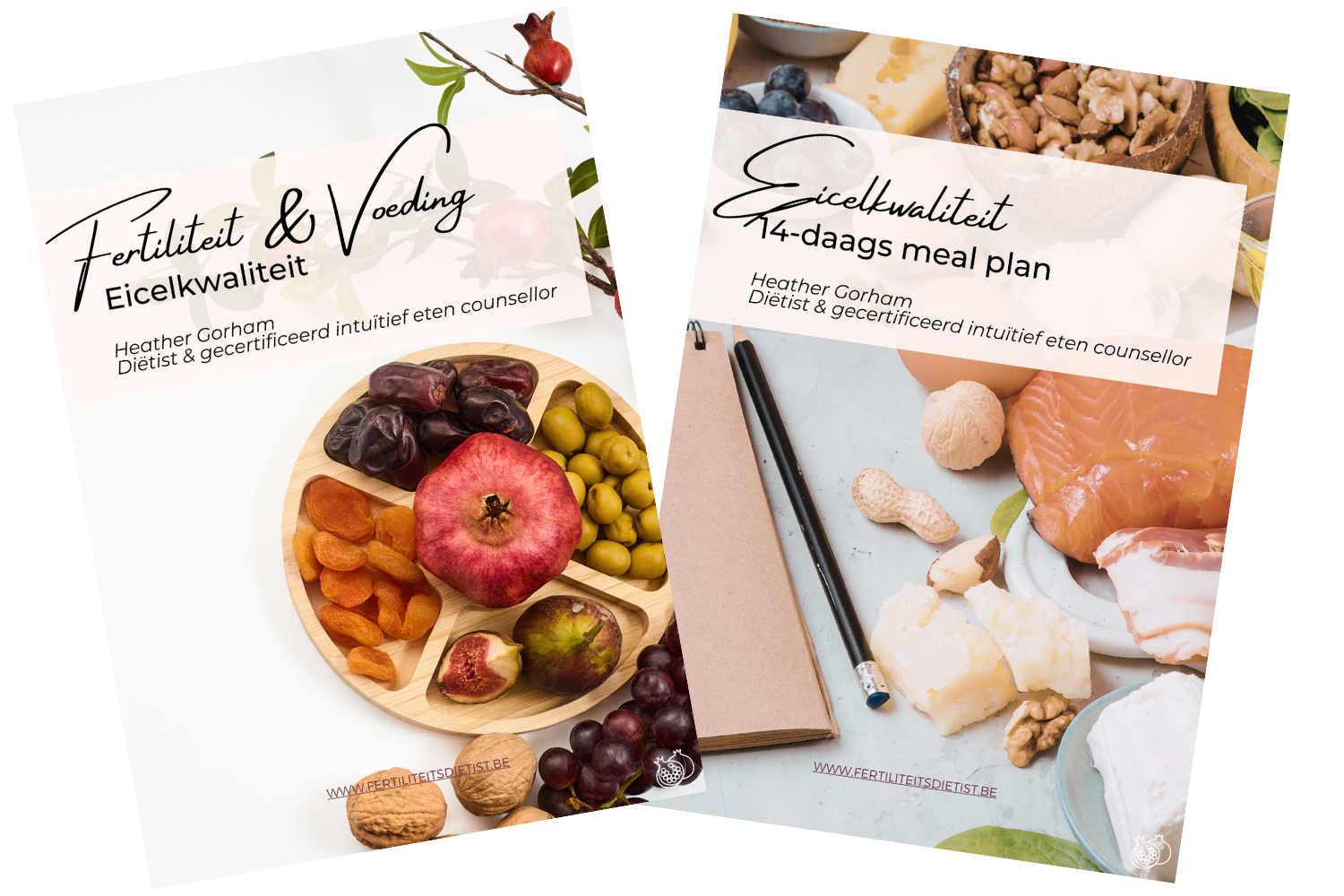 Mockup - egg cell quality guide.png