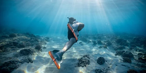 aquamarseille.jpg