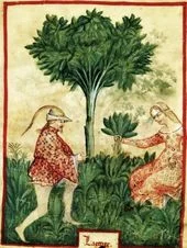 684fb62ae14a8154ce8e9a49f0a22827--medieval-life-medieval-art.jpg