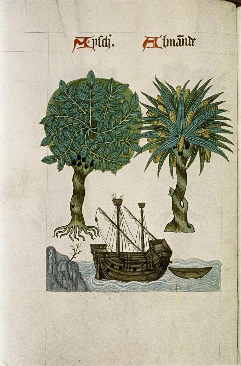 Almond milk: A medieval obsession — SECONDS | Food history