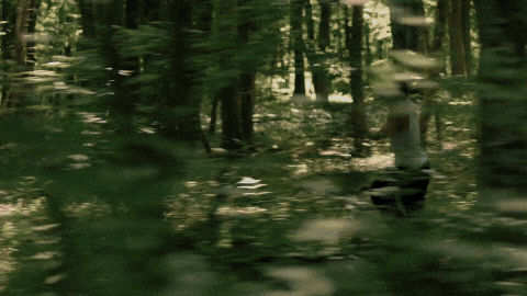 GIFS FOR WEBSITE (480 x 270 px).gif