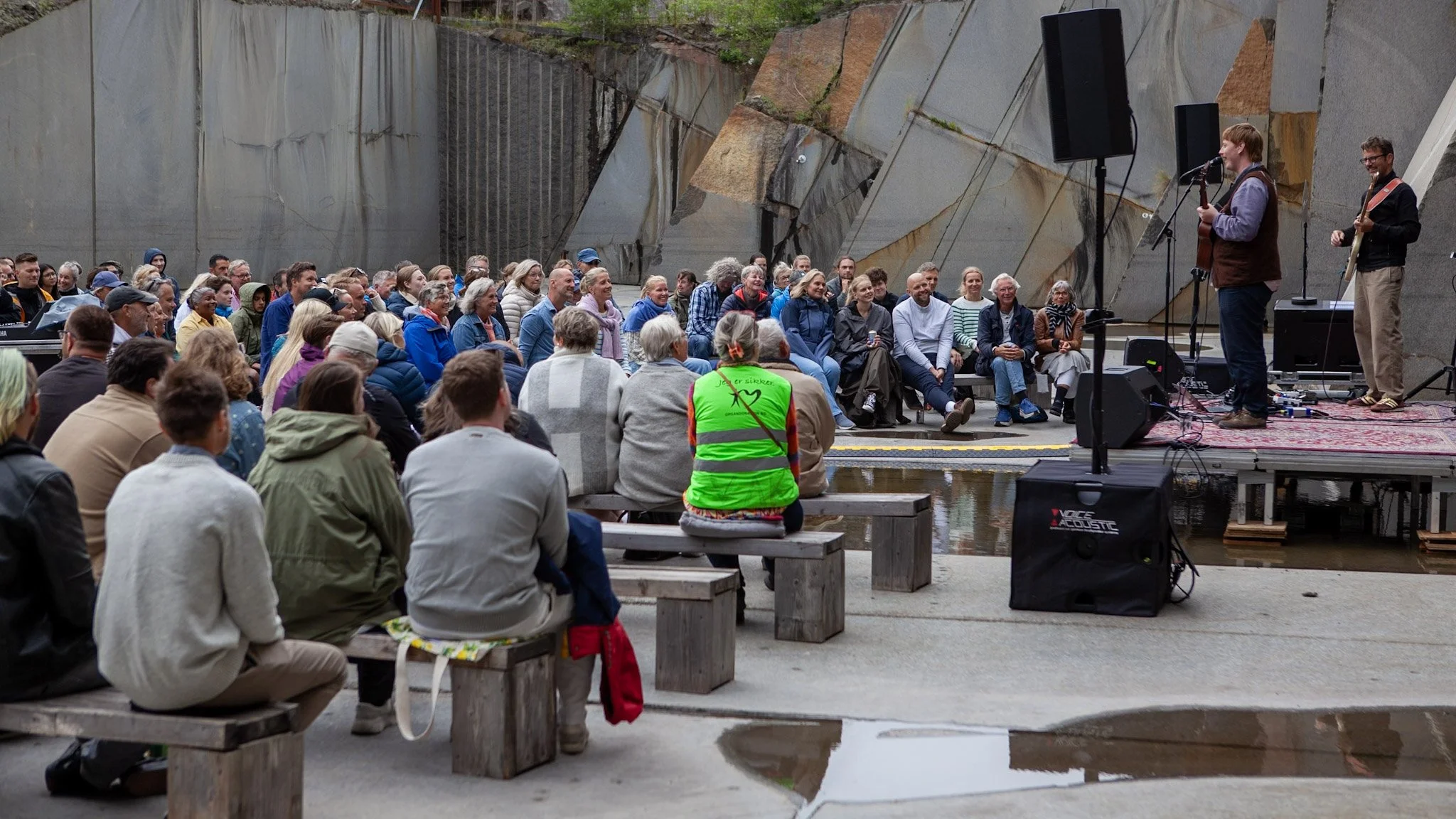 Depresno jarle Foss.jpg