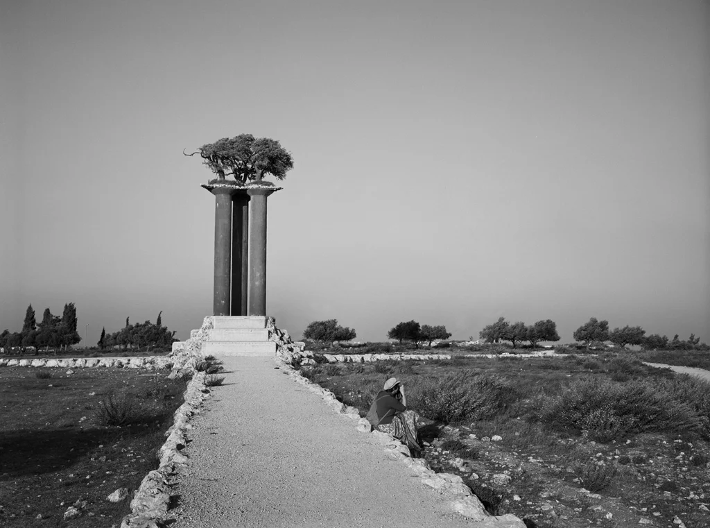 Peace Park next to the Palestinian village Sur Bahir. Olive trees on pillars