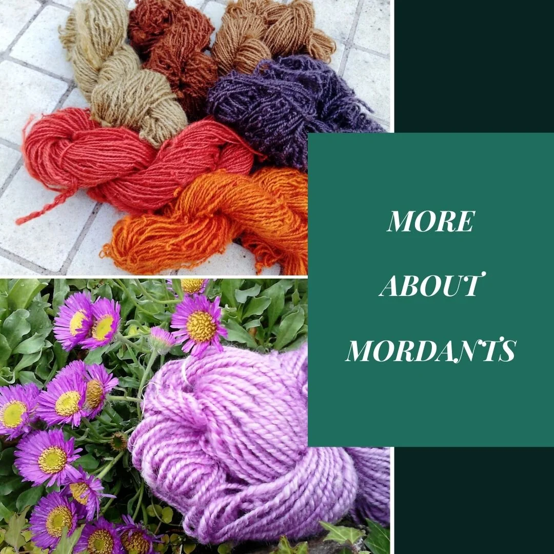 More About Mordants