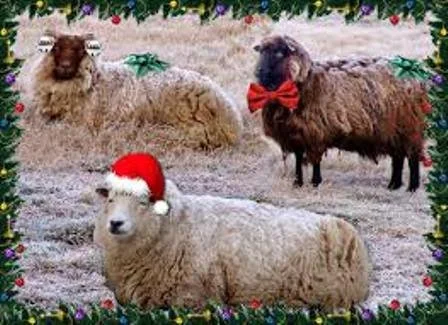 CHRISTMASTIME IS HERE