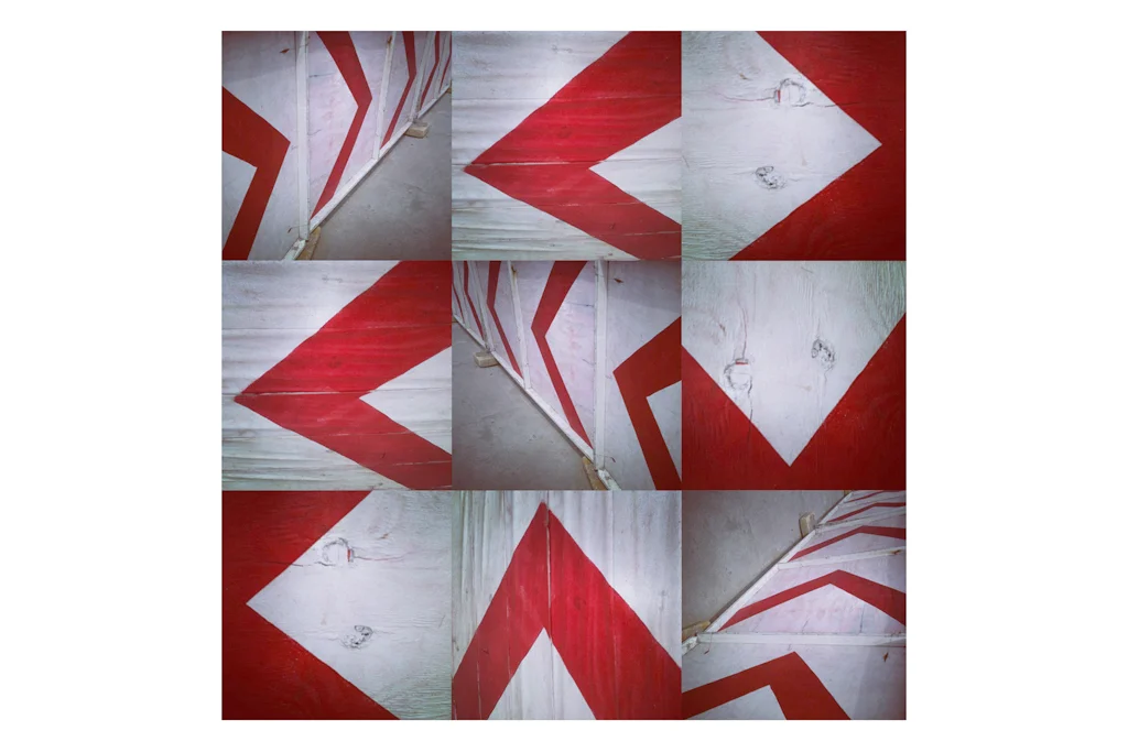  PARA VOLPI _ 100 x 100 cm, assemblage, fotografia 