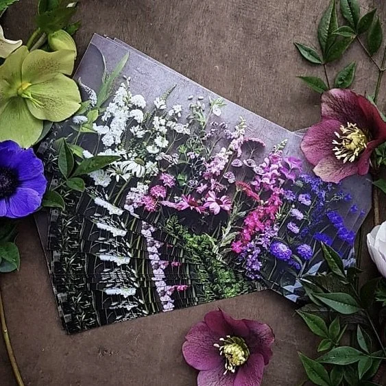 Floral Field Session Gift Voucher