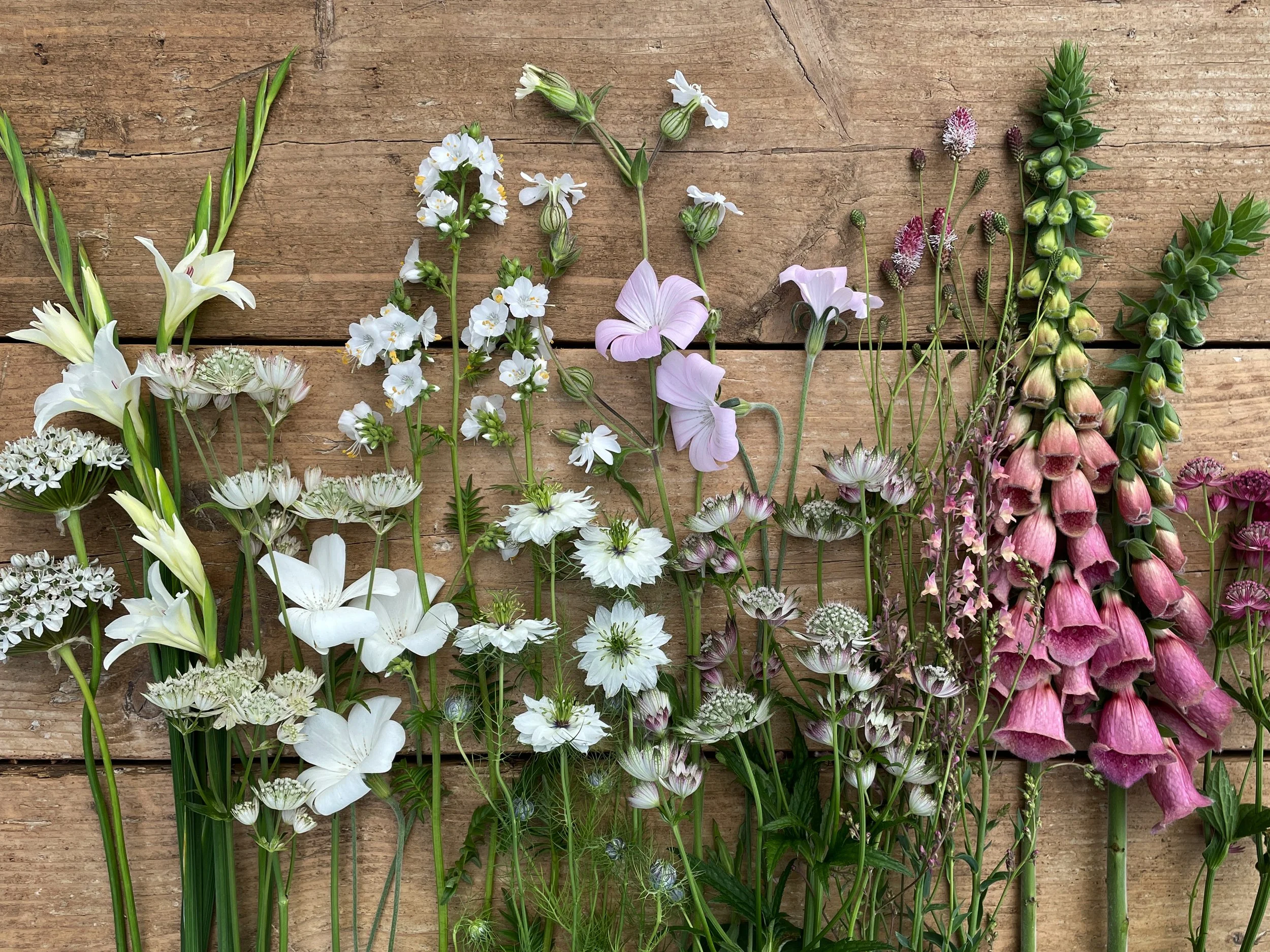 Forever Green Flower Company